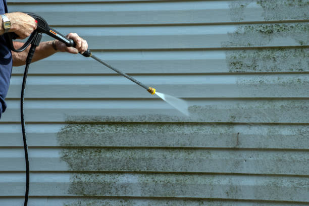 Best Sidewalk and Walkway Cleaning  in Pontotoc, MS